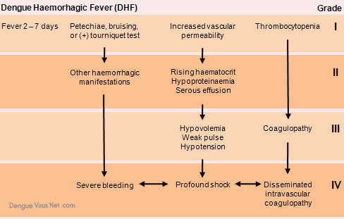 Diagnosis of DHF Grade I