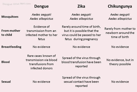 Comparison of Dengue, Zika and Chikungunya transmission routes