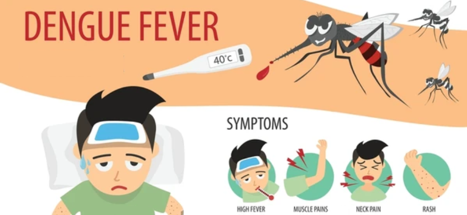 Dengue Fever Symptoms