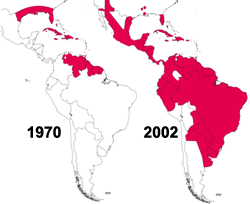 Re-establishment of Aedes aegypti in South America