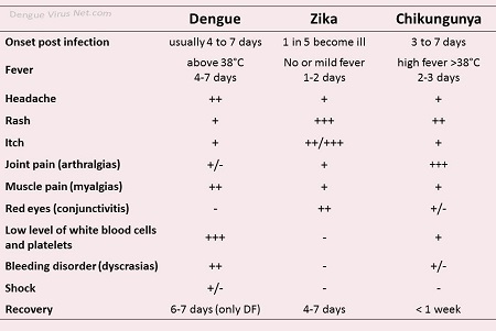 Comparisonof Dengue, Zika and Chikungunya symptoms.