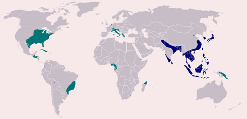 Worldwide distribution of Aedes albopictus in 2007